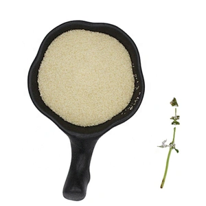 2024 Food Additive halal Gelatin powder, gelatin Sheet/Leaf ISO HACCP MUI certificate